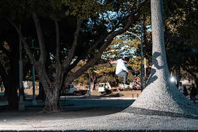 Carlos de Andrade - 360 Flip to Fakie