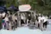 The contestants from Munich Mash's epic waterborne skate event!