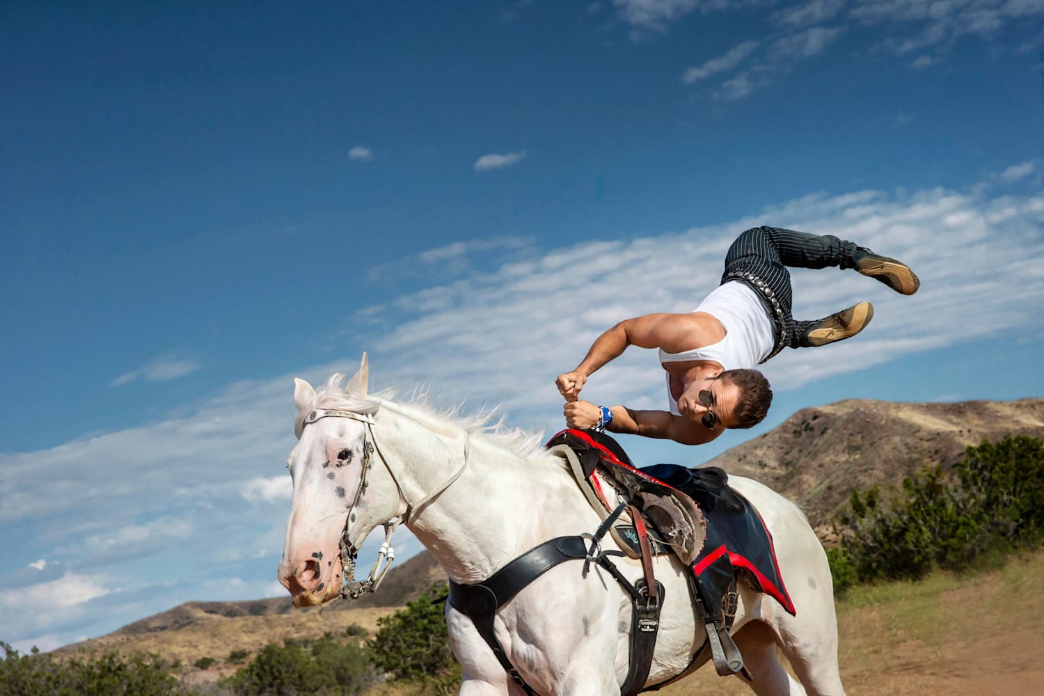 lampendesign: Reiten Im Fernsehen Heute