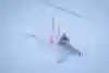 Marcel Hirscher was seen training in Ohau, New Zealand, in August 2024. 