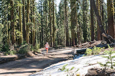 Ryan Sandes se entrena en el bosque.