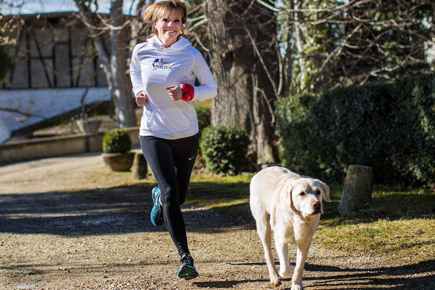 Countdown To The Wings For Life World Run Dogs