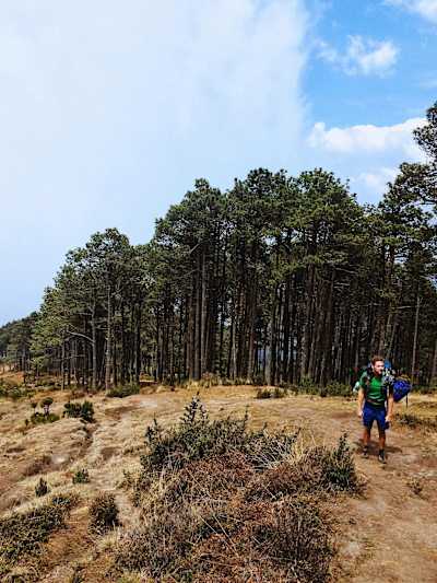 Tom getting to grips with nature in Guatemala