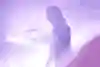 Steve Aoki
