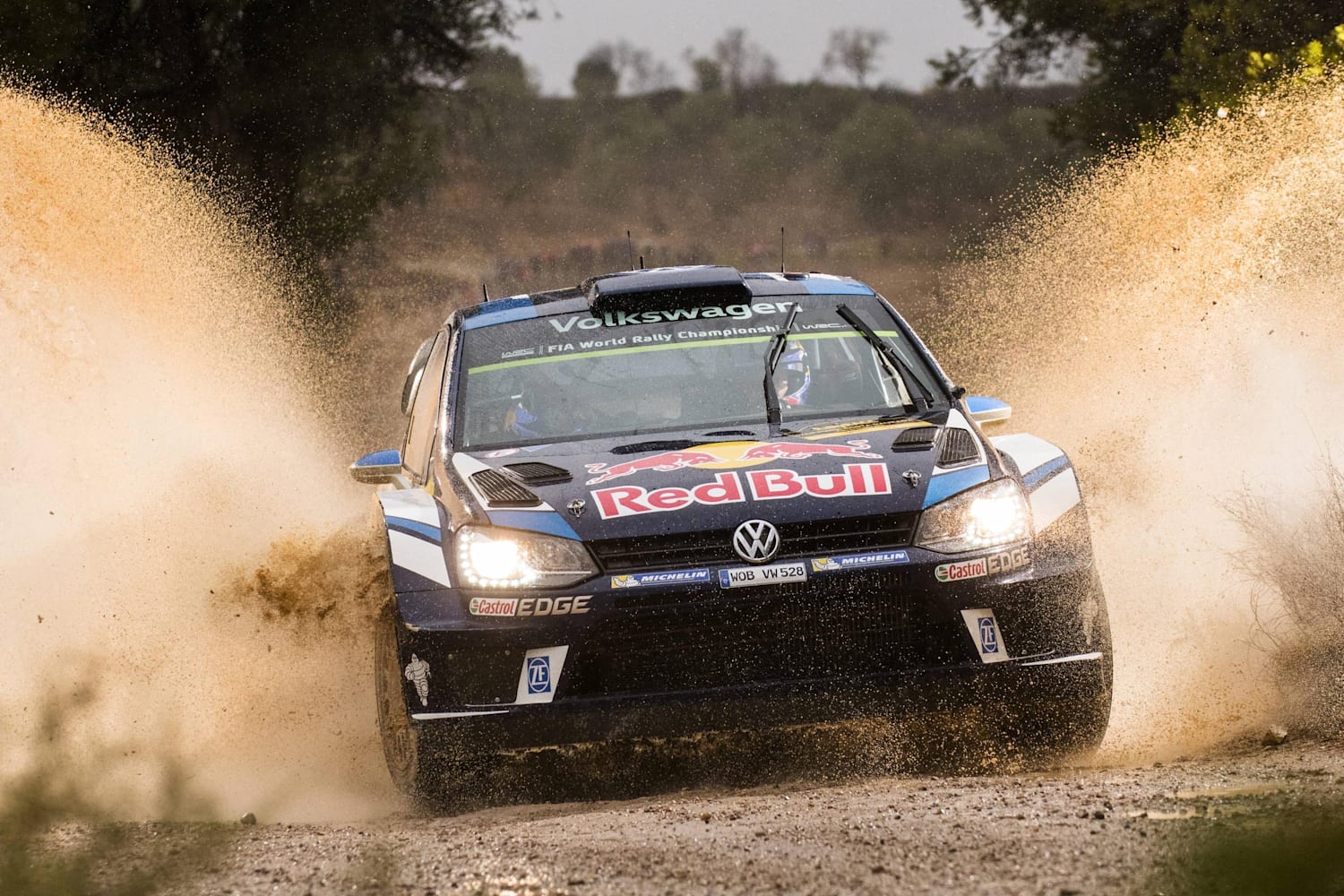 Champions du monde des promo rallyes