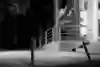 Marek Zaprazny – Frontside flip