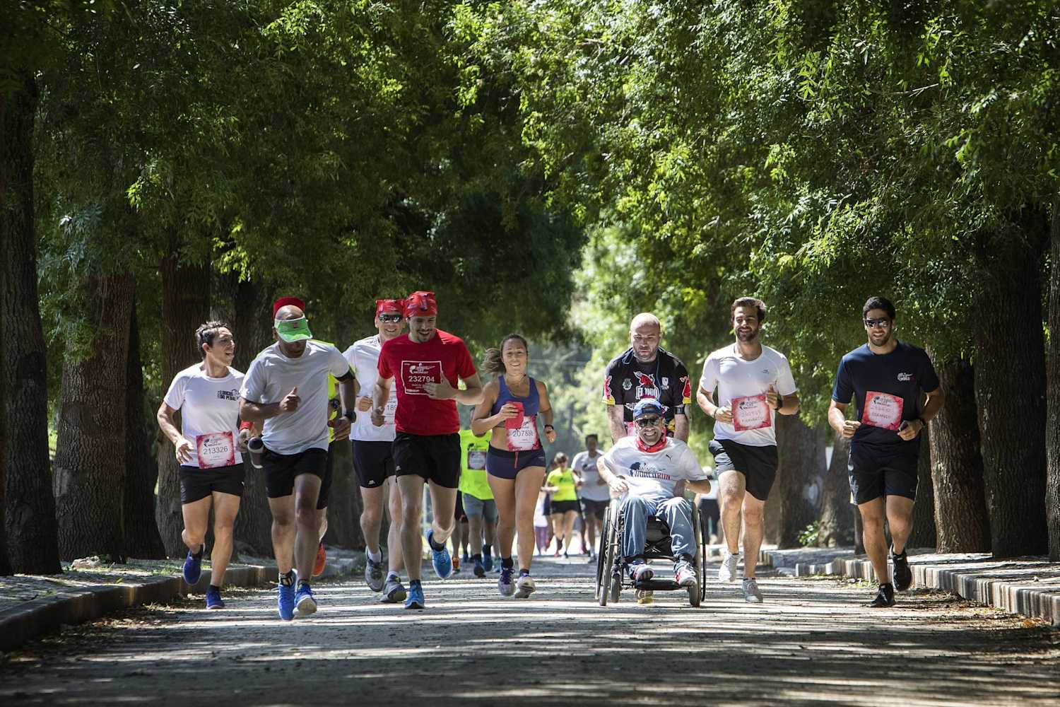Countdown para a Wings For Life World Run