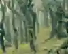 The Goblin forest in New Zealand