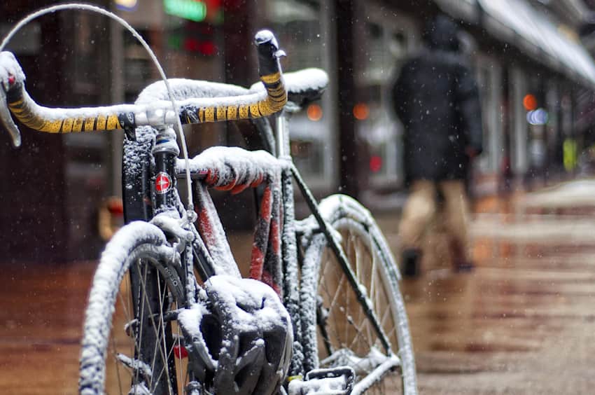 Winter fixie sale