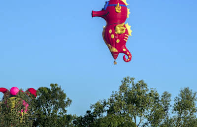Hot air balloons fly during the International Balloon Festival at the Metropolitan Park in Leon, Guanajuato state, Mexico on No