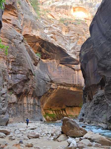 Одинокий турист идет по ущелью в Национальном парке Сион в Соединенных Штатах.