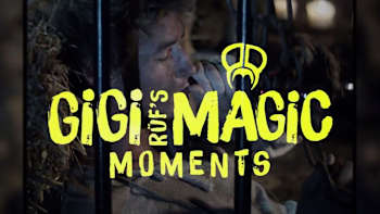 Gigi Rüf's Magic Moments
