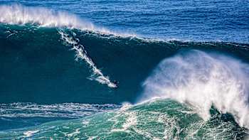 Surf Sessions S1 E9 Art