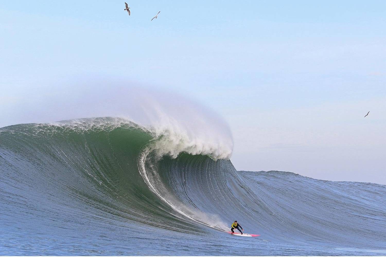 Mavericks Big Wave surfing ***video*** | Hit And Run