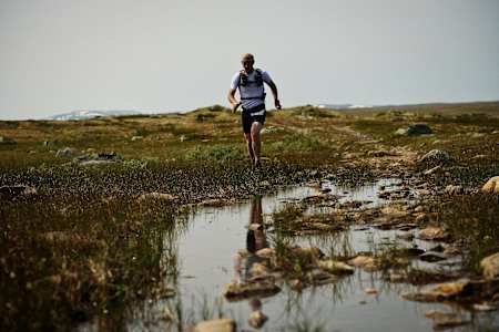 Zwischen den Bachläufen