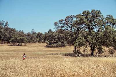 The Western States 100 is nearly four marathons back-to-back and runners must complete it in 30 hours.