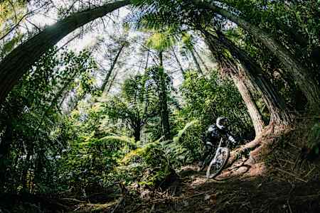 Brook MacDonald rides his mountain bike in and out the tall trees of Whakarewarewa Forest in Rotorua, New Zealand on April 2, 2021