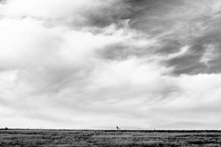 Justin Eeles, Twin Falls, Idaho