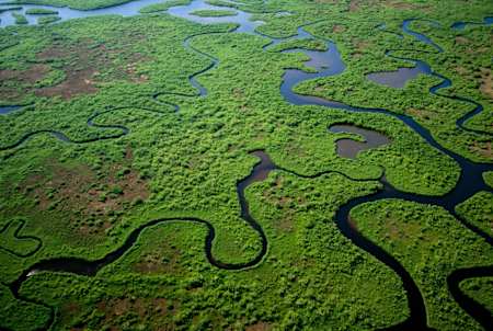 Everglades