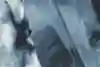 Lara Croft Rise of the Tomb Raider