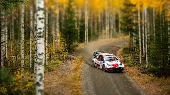 WRC Finland Spare Vin 3 Art