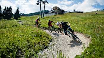 Nicht alle Trails sind steil und furchteinflößend.