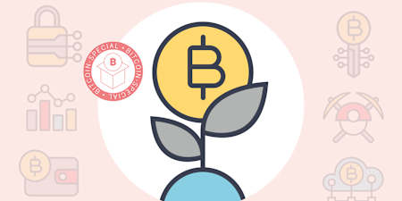 Blockchain, Miner, Plebs: Wir erklären die Krypto-Fachbegriffe.