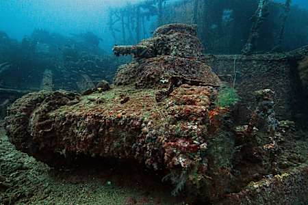 A tank covered with hard and soft corals.
