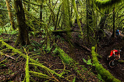 La Section 56 du trail de Squamish.