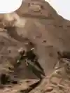 Szymon Godziek hits a jump at Red Bull Rampage in Virgin, Utah, USA on October 11, 2023