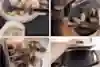 腹が減っては 戦はできぬ