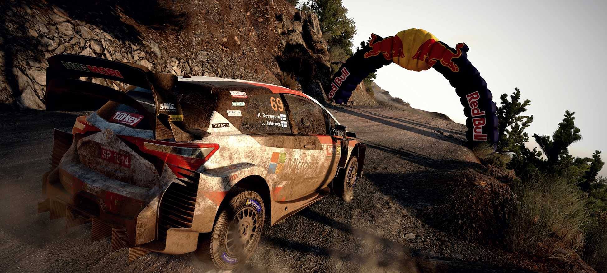 Logo WRC e Nacon