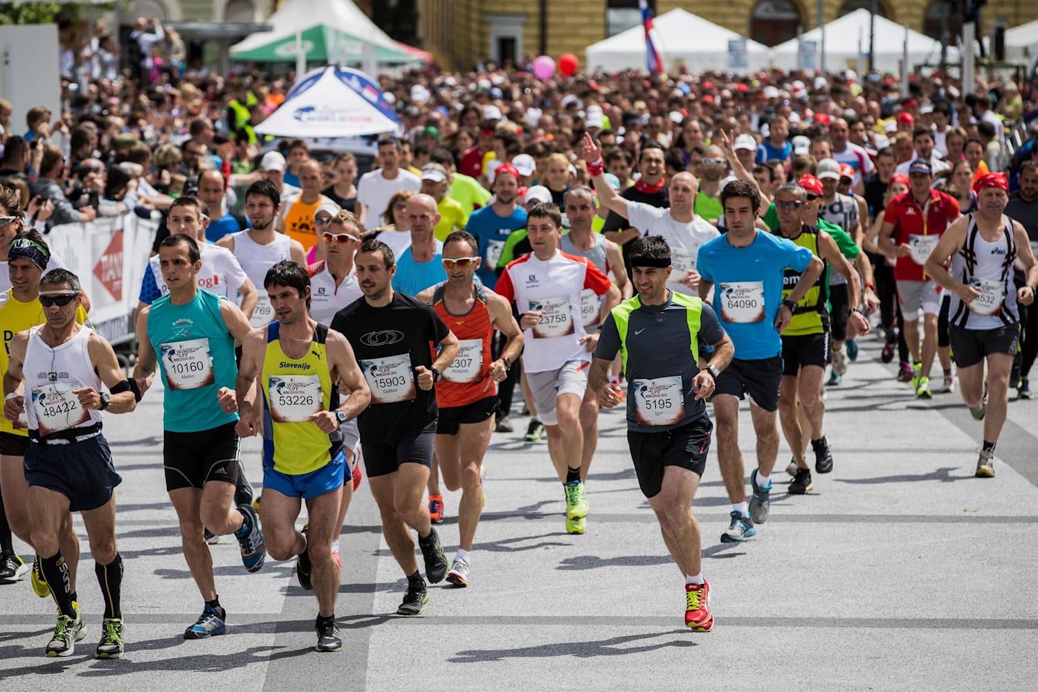Kam v nedeljo? Na Kongresni trg!