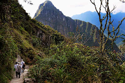 Angelo Caro, Milton Martínez, Thaynan Costa y Madars Apse hacen senderismo por el Camino del Inca en el Machu Picchu.