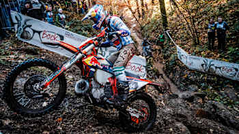 FIM GetzenRodeo Spare Asset 3 Art