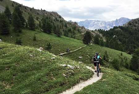 Visokogorska divjina za prste obliznit