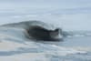Overview of the wave dubbed Ours in Botany Bay, Sydney, Australia