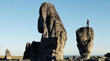 Die Schattenspiele der Natur...