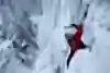 Will Gadd at Hunlen Falls in British Columbia