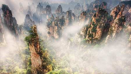 Nebel zwischen den Zhangjiajie Säulen, China
