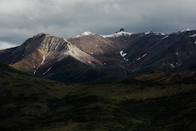 La natura selvaggia dell'Alaska