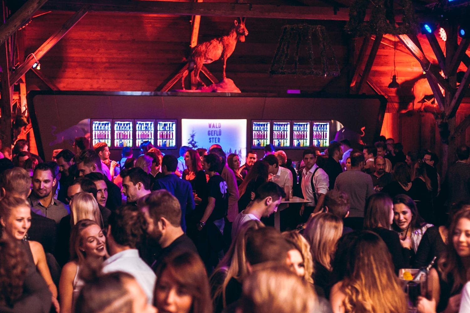 Red Bull Winter Edition Waldgefluster Die Party