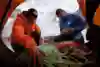 David Lama y Peter Ortner se preparan