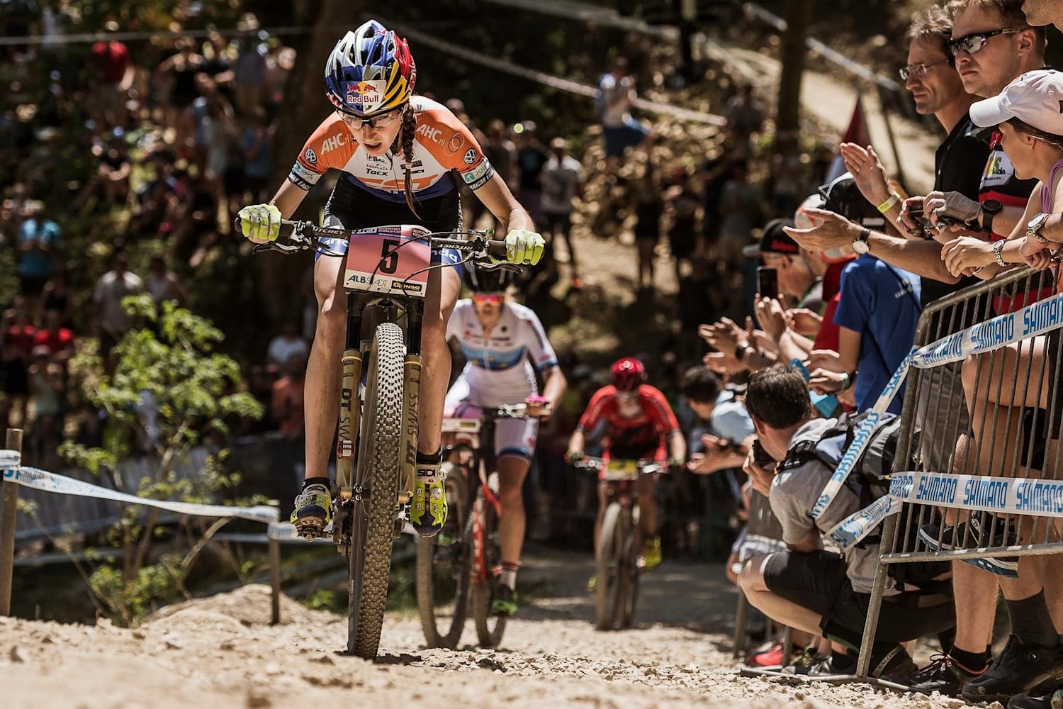 specialized epic expert world cup