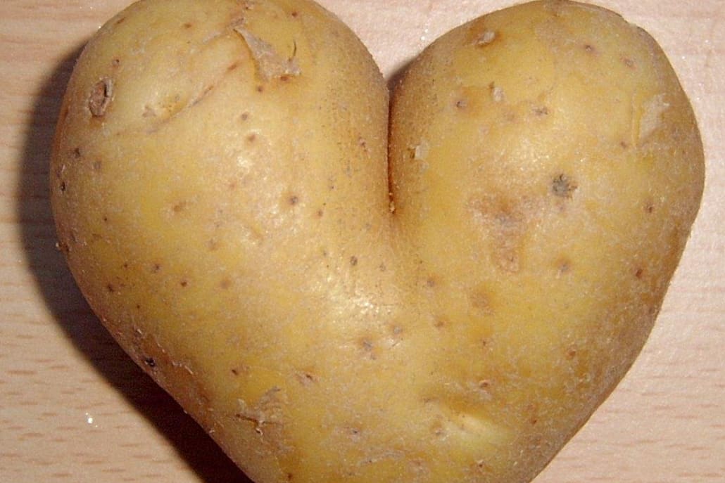 Söyle patates, Bir kalp... Bu bir patates.