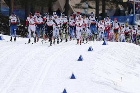 Petter Northug in Falun, Schweden 2015