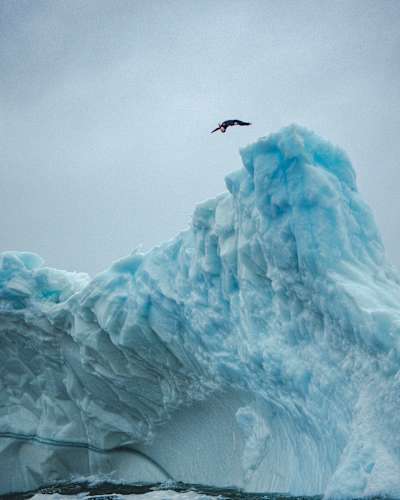 Cliff diver Molly Carlson launches from a height of 15m off an iceberg into the Atlantic Ocean in October, 2026.