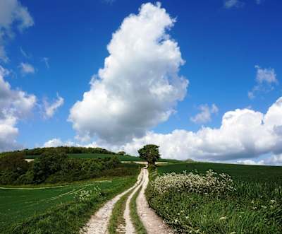 Quick-drying paths make the Souths Down Way perfect for year-round jaunts