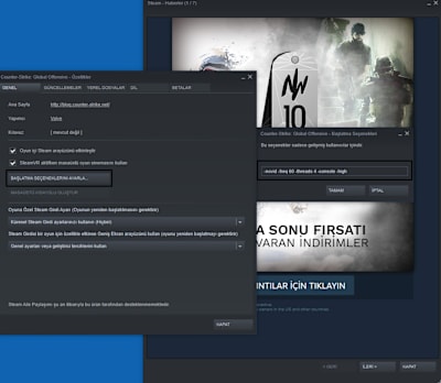 CS:GO başlatma seçenekleri