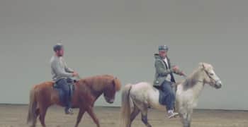 The Gudauskas brothers riding miniature horses in Iceland